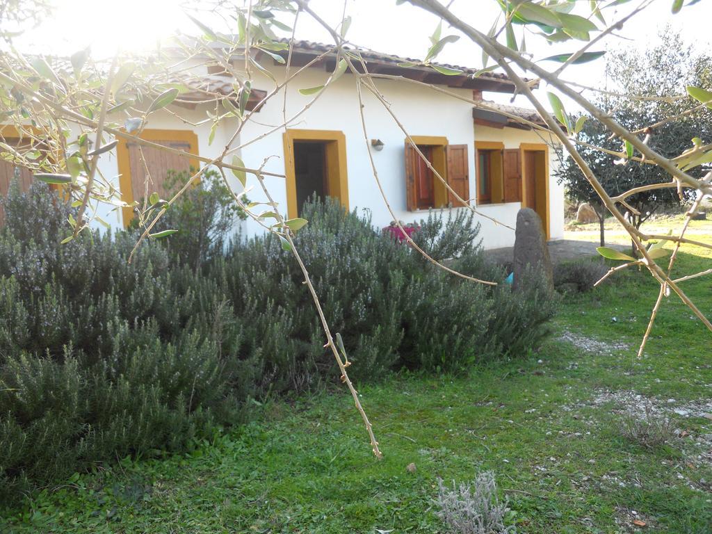 Вілла Agriturismo Su Nuratolu Sagama Екстер'єр фото